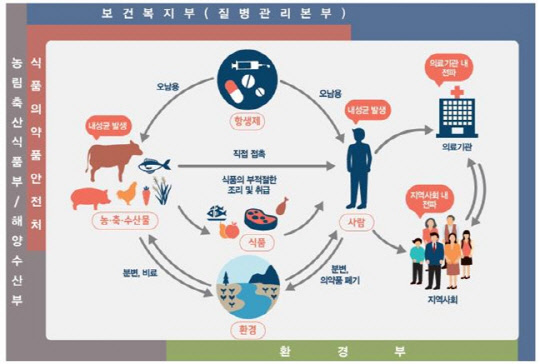 항생제 내성균 발생 및 전파 경로(자료 : 보건복지부)